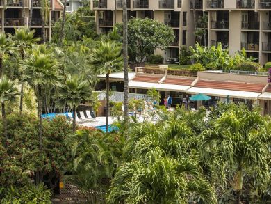 Wailea Condo 896018 Wailea Condo 896018
